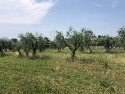 immagine annuncio 1 di 8