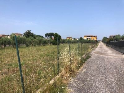 immagine annuncio 4 di 8