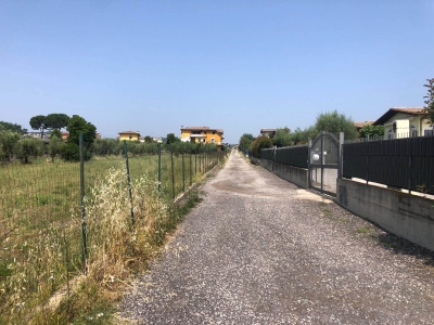 immagine annuncio 5 di 8