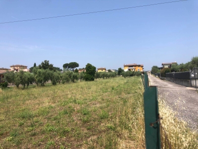 immagine annuncio 6 di 8