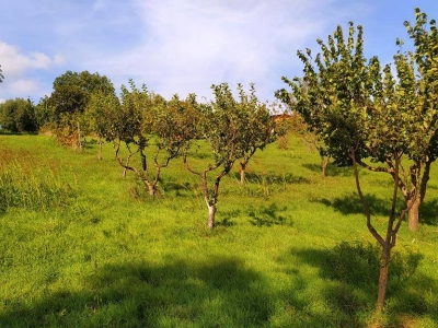 immagine annuncio 1 di 9