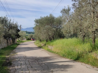 immagine annuncio 3 di 9