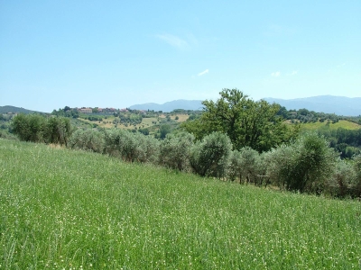 immagine annuncio 8 di 9