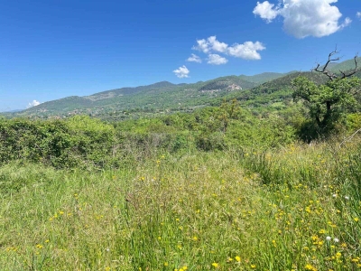 immagine annuncio 4 di 6