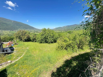 immagine annuncio 5 di 6