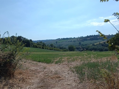 immagine annuncio 8 di 9