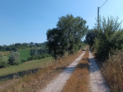 immagine annuncio 2 di 9