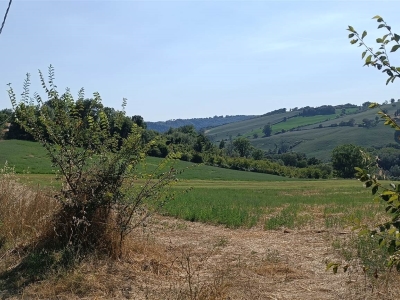 immagine annuncio 7 di 9