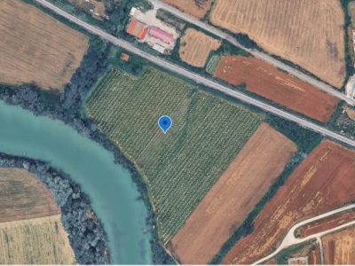 immagine annuncio 2 di 3