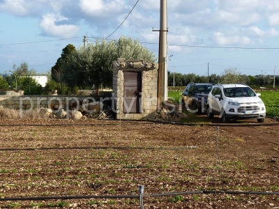 immagine annuncio 1 di 9