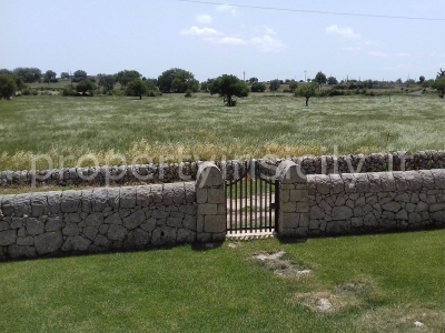 immagine annuncio 5 di 9