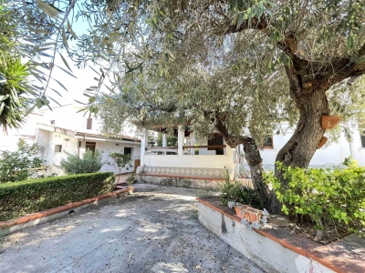 immagine annuncio 3 di 9