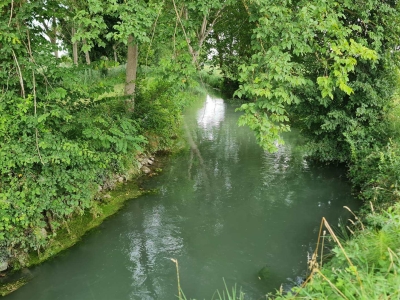 immagine annuncio 5 di 9