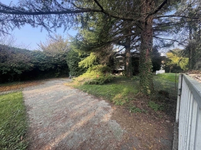 immagine annuncio 3 di 6