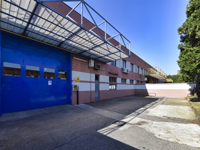 immagine annuncio 2 di 9