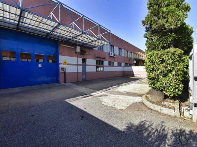 immagine annuncio 1 di 9