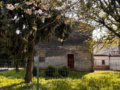 immagine annuncio 2 di 8