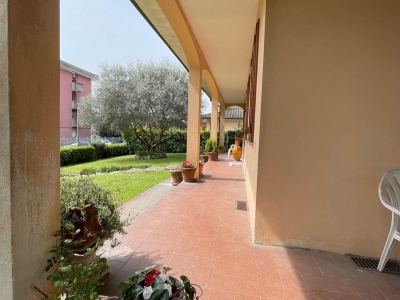 immagine annuncio 5 di 9