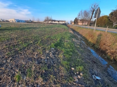 immagine annuncio 3 di 7