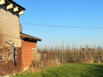 immagine annuncio 2 di 9