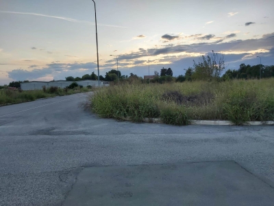 immagine annuncio 2 di 4