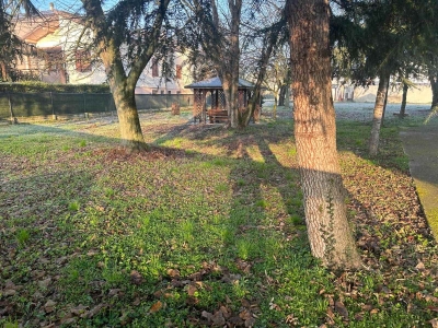 immagine annuncio 3 di 4