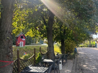 immagine annuncio 8 di 9