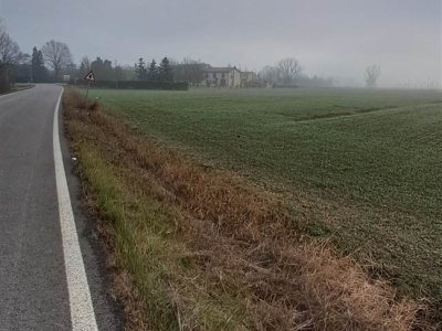 immagine annuncio 2 di 7