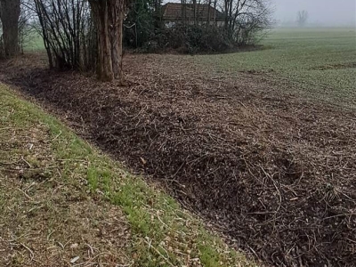 immagine annuncio 1 di 7