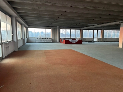 immagine annuncio 2 di 9