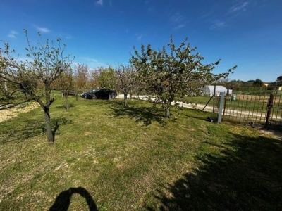 immagine annuncio 7 di 8