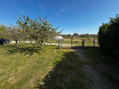 immagine annuncio 6 di 8