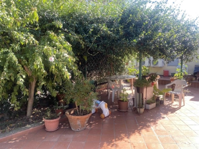immagine annuncio 3 di 9