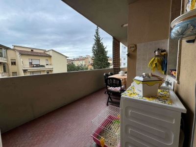 immagine annuncio 4 di 9
