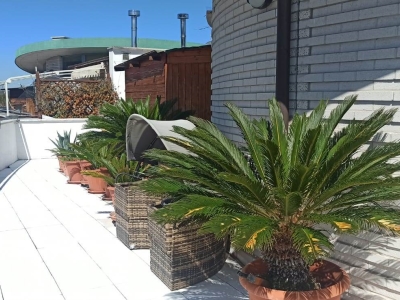 immagine annuncio 2 di 8