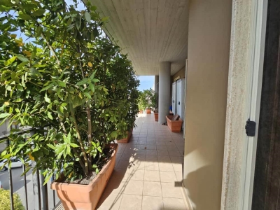 immagine annuncio 2 di 9