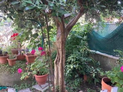 immagine annuncio 5 di 9