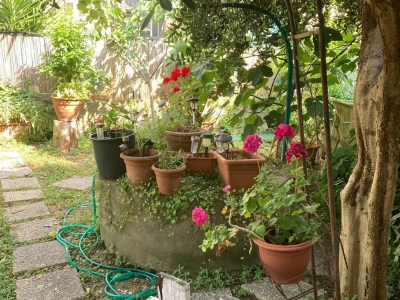 immagine annuncio 3 di 9