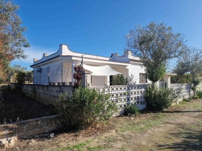 immagine annuncio 4 di 9