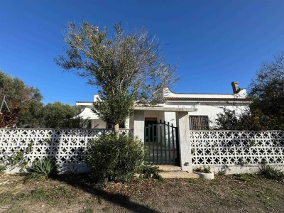 immagine annuncio 1 di 9