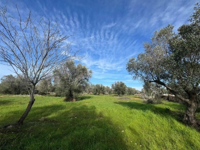 immagine annuncio 6 di 9