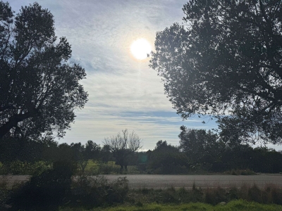 immagine annuncio 5 di 9