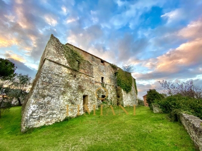 immagine annuncio 1 di 9