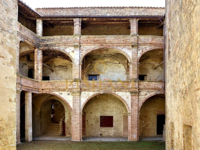 immagine annuncio 5 di 9