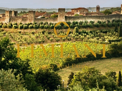 immagine annuncio 7 di 9