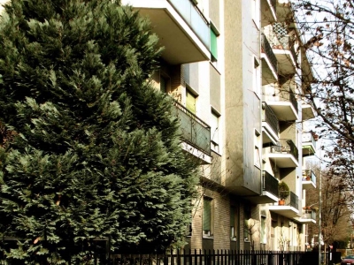 immagine annuncio 2 di 9