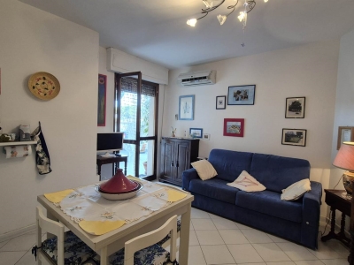 immagine annuncio 5 di 9