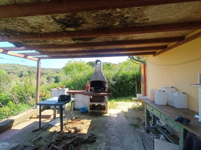immagine annuncio 7 di 9