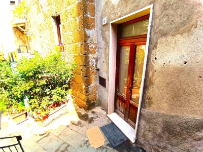 appartamento in vendita a Pitigliano