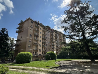 immagine annuncio 3 di 9